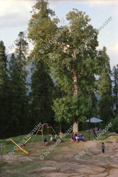 Image of sheet 20030090 photo 6: Ayubia is a small town in the Khyber-Pakhtunkhwa province of Pakistan. It is located near the Pakistan Kahmir hills and Galyat is home to Ayubia National Park. It is a very famous tourist destination and includes one of the oldest chair lifts of the area.
Leute Männer  Shahzad Khan Mann beim Wasser filtern mit Katadyn in Pet Flaschen.  Wald Bäume im Galyat tal
(eine der ältesten) Gondelbahn auch für Familien im National Park. Staatliches Hotel