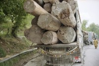 Image of sheet 20030110 photo 26: Ein pakistanischer Lastwagen transportiert Holz Baumstämme Pakistan
Pakistan Punjab Murree: Holzwirtschaft. 23/05/2003 Punjab Murree. Transport of wood. Holzverarbeitung Transport