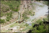 Image of sheet 20030110 photo 35: In einem Tal sucht ein Hirte Wasser für seine Tiere.
Pakistan Punjab Islamabad. Farmer searching water for his animals on the riverside. 23/05/2003
