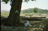 Image of sheet 20030120 photo 20: Sirkap (Urdu: سر کپ) is the name of an archaeological site on the bank opposite to the city of Taxila, Punjab, Pakistan. The city of Sirkap was built by the Greco-Bactrian king Demetrius after he invaded ancient Pakistan around 180 BC. Demetrius founded in the northern and northwestern Indian subcontinent (modern day Pakistan) an Indo-Greek kingdom that was to last until around 10 BC. Sirkap is also said to have been rebuilt by king Menander I. Wasserbrunnen, Mauern Mann im Schatten restauriert In den Stupas Nr. 14a wurden die Mönche eingeäschert. Männer baden schwimmen Khanpurkanal in einem Wasserkanal der Wasser nach Islamabad bringt. Eine Familie recycles sammelt Petflaschen und Abfall.