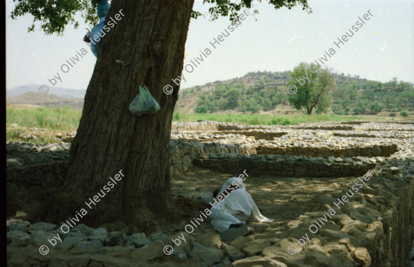 Image of sheet 20030120 photo 20: Sirkap (Urdu: سر کپ) is the name of an archaeological site on the bank opposite to the city of Taxila, Punjab, Pakistan. The city of Sirkap was built by the Greco-Bactrian king Demetrius after he invaded ancient Pakistan around 180 BC. Demetrius founded in the northern and northwestern Indian subcontinent (modern day Pakistan) an Indo-Greek kingdom that was to last until around 10 BC. Sirkap is also said to have been rebuilt by king Menander I. Wasserbrunnen, Mauern Mann im Schatten restauriert In den Stupas Nr. 14a wurden die Mönche eingeäschert. Männer baden schwimmen Khanpurkanal in einem Wasserkanal der Wasser nach Islamabad bringt. Eine Familie recycles sammelt Petflaschen und Abfall.