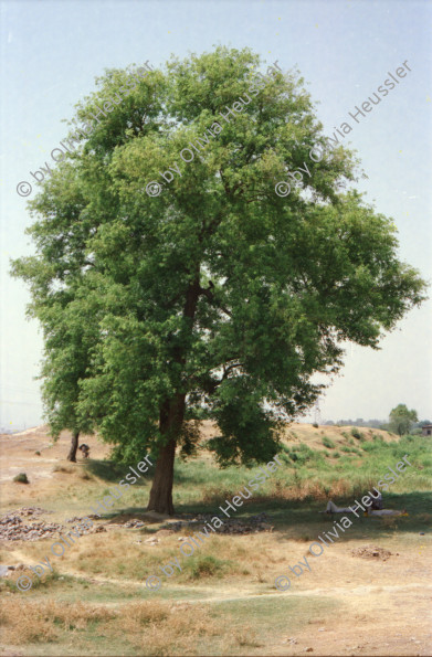 Image of sheet 20030120 photo 30: Sirkap (Urdu: سر کپ) is the name of an archaeological site on the bank opposite to the city of Taxila, Punjab, Pakistan. The city of Sirkap was built by the Greco-Bactrian king Demetrius after he invaded ancient Pakistan around 180 BC. Demetrius founded in the northern and northwestern Indian subcontinent (modern day Pakistan) an Indo-Greek kingdom that was to last until around 10 BC. Sirkap is also said to have been rebuilt by king Menander I. Wasserbrunnen, Mauern Mann im Schatten restauriert In den Stupas Nr. 14a wurden die Mönche eingeäschert. Männer baden schwimmen Khanpurkanal in einem Wasserkanal der Wasser nach Islamabad bringt. Eine Familie recycles sammelt Petflaschen und Abfall.