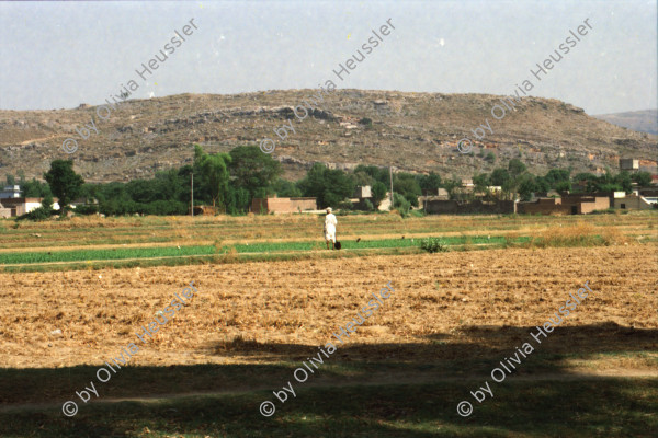 Image of sheet 20030130 photo 20: Khanpurdamm bringt Wasser nach Islamabad
Jaulian (Urdu: جھولیاں) are the ruins of an ancient buddhistic monastery near Taxila, Punjab (Pakistan), Pakistan. 
Mann steckt seinen Finger in den Nabel des Budas, dies sollte ihm Glück bringen.
Kinder baden schwimmen bei einem Mühlerad Wasserrad Gruppe Mädchen springen Rikscha Velo
Portrait Mädchen Buddhas ohne Gesicht

Pakistan: Kinder Wasser Brunnen Tourismus Mädchen Baum Bäume Holz

Taxila (griechische Form des Namens; eigentlich Sanskrit, तक्षशिला, f. Takṣaśilā, Takshashila; wörtl: „Hügel des Taksha“, Pali: Takkasilā) war die historische Hauptstadt des Reiches Gandhara, das sich über die östlichen Gebiete des heutigen Afghanistan und den Nordwesten Pakistans erstreckte. Taxila erlebte seine Blütezeit vom fünften vorchristlichen bis zum fünften Jahrhundert unserer Zeit. Am Schnittpunkt dreier wichtiger Handelsstraßen gelegen, war der Ort von erheblicher wirtschaftlicher und strategischer Bedeutung. Die Überreste der Stadt, ein reichhaltiger Fundort für archäologische Forschungen, liegen etwa 35 km nordwestlich von Islamabad in der pakistanischen Provinz Punjab nahe der Grenze zur Nordwestprovinz und an der sogenannten Grand Trunk Road. Seit 1980 werden die archäologischen Stätten des früheren Taxila von der UNESCO als Weltkulturerbe gelistet.