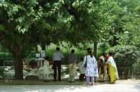 Image of sheet 20030150 photo 19: Pakistan Islamabad Zoo (Urdu: اسلام آباد چڑیا گھر), previously Marghazar Zoo, is a developing zoo in Islamabad Capital Territory. It was opened in 1978.[1] It is under the administration of Capital Development Authority of Pakistan.[2
Junge steht vor einem Rickschataxi reicht beschmückt und dekoriert. Strassenarbeiter Arbeiter in der Hitze am arbeiten und posieren. Wolf im Gehege des Zoo Krähen fressen ihm das Futter weg. WWF Abfallkübel Sitzplatz mit Schattenspender Traktor Teerproduktion Brennerei Ofen Portrait zwei Frauen