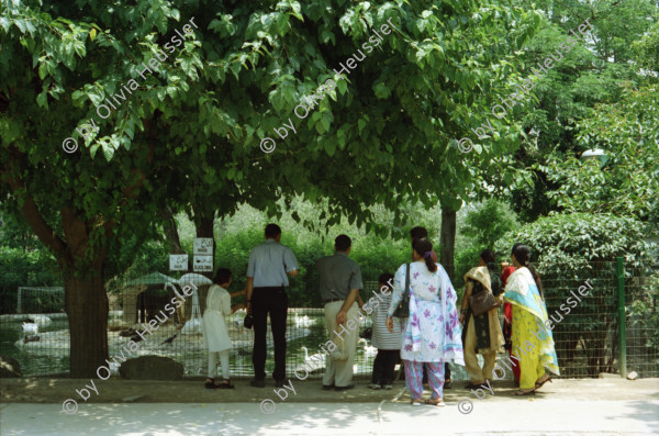 Image of sheet 20030150 photo 19: Pakistan Islamabad Zoo (Urdu: اسلام آباد چڑیا گھر), previously Marghazar Zoo, is a developing zoo in Islamabad Capital Territory. It was opened in 1978.[1] It is under the administration of Capital Development Authority of Pakistan.[2
Junge steht vor einem Rickschataxi reicht beschmückt und dekoriert. Strassenarbeiter Arbeiter in der Hitze am arbeiten und posieren. Wolf im Gehege des Zoo Krähen fressen ihm das Futter weg. WWF Abfallkübel Sitzplatz mit Schattenspender Traktor Teerproduktion Brennerei Ofen Portrait zwei Frauen