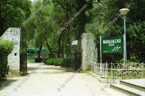 Image of sheet 20030150 photo 20: Pakistan Islamabad Zoo (Urdu: اسلام آباد چڑیا گھر), previously Marghazar Zoo, is a developing zoo in Islamabad Capital Territory. It was opened in 1978.[1] It is under the administration of Capital Development Authority of Pakistan.[2