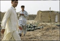Image of sheet 20030160 photo 19: Im Flüchtlingslager des UNHCR für afghanische Flüchtlinge in Islamabad. F-11 Pakistan 2003
 refugee camp man water melon adobe house home