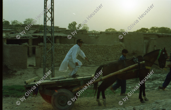 Image of sheet 20030190 photo 3: Pakistan Islamabad

Im Flüchtlingslager Slum F-11 leben 55'000- 60'000 afghanische Flüchtlinge. Die Menschen leben auf den Gräbern der Vorfahren.  Kids Kinder geschminkt Frauen mit Kindern Burka Ganzörperschleier Eine Gruppe junger Pakistani lässt neben dem Lager Drachen steigen.
Heute stehen auf dem Gelände des ehemaligen Flüchtlingslager moderne teure Wohnungen zum Kauf angeboten