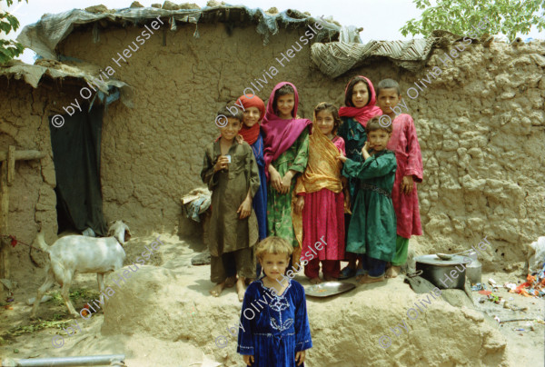 Image of sheet 20030250 photo 0: Pakistan,