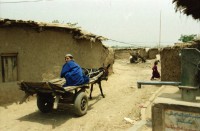Image of sheet 20030250 photo 4: Pakistan,