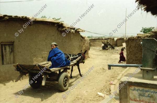 Image of sheet 20030250 photo 4: Pakistan,