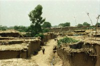 Image of sheet 20030250 photo 5: Pakistan,