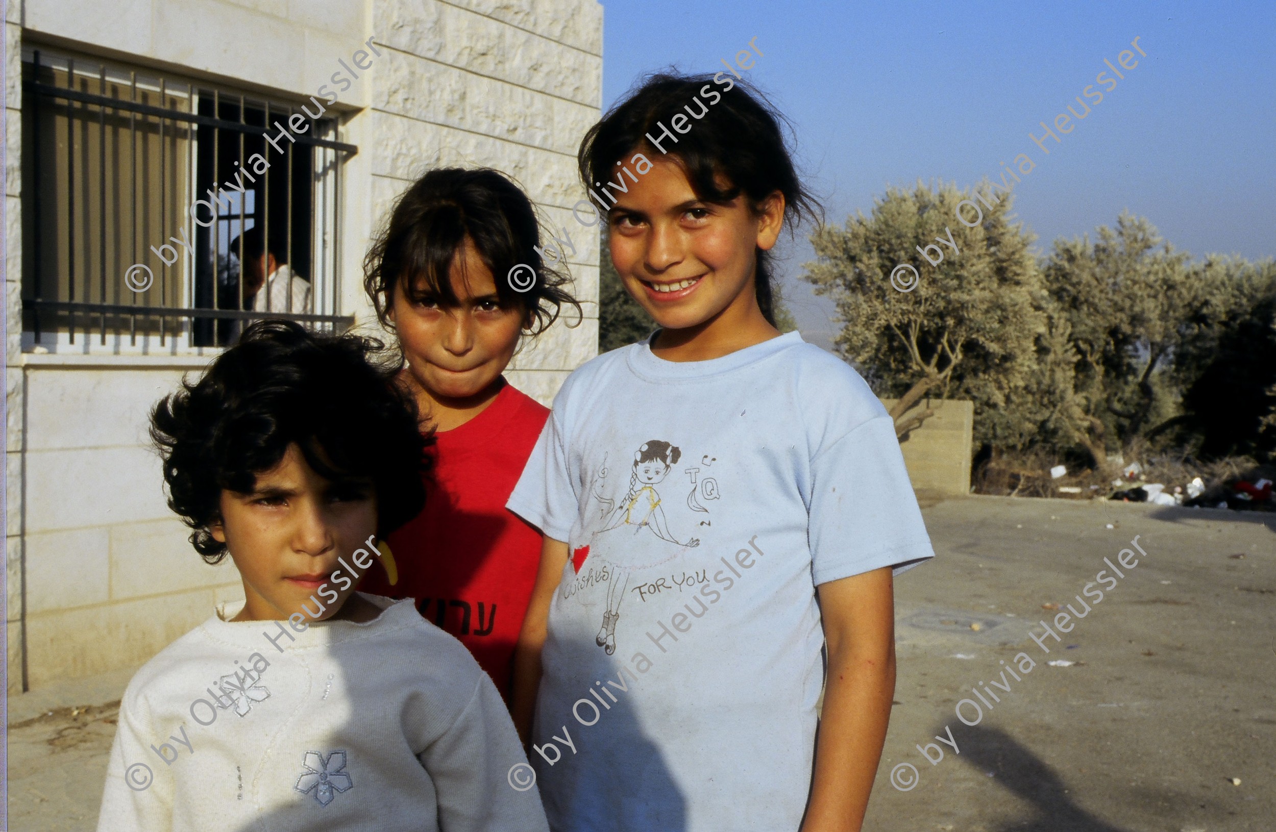 Image of sheet 20033004 photo 13: Westbank Palästina 2003.