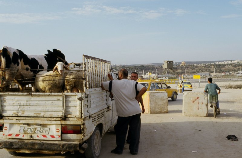 Image of sheet 20033004 photo 2: Israelischer Sicherheitszaun am Daqa ash Sharqiya Gate, Westbank Palästina 2003.