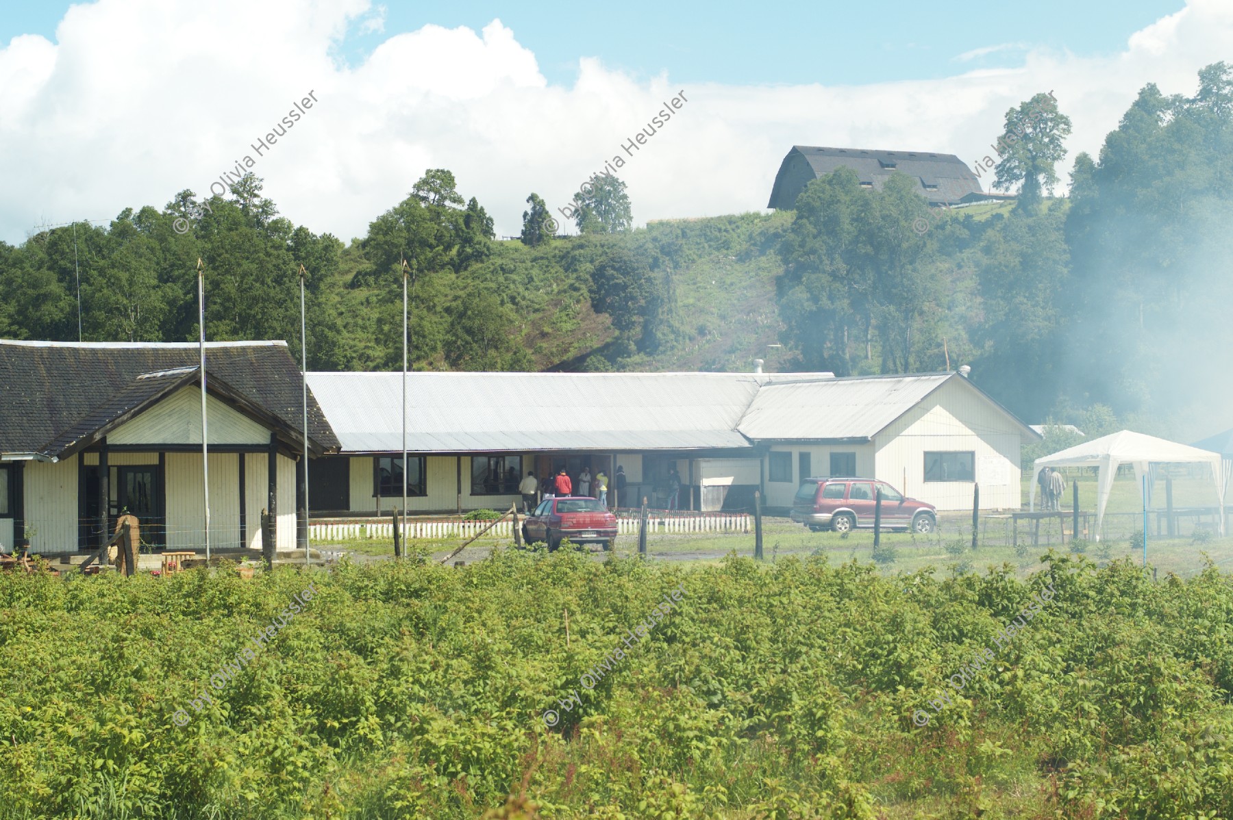 Image of sheet 20051204 photo 43: Liceo Agricola El Llolly Paillaco Chile 2005 Escuela Schule Agricultural School Liceo Agrícola El Llolly, Weiler El Llolly in Paillaco, rund 100 km landeinwärts vom Pazifik und der Stadt Valdivia in der Region Los Rios, Südchile, gelegen. Internatschule für Landwirtschaft