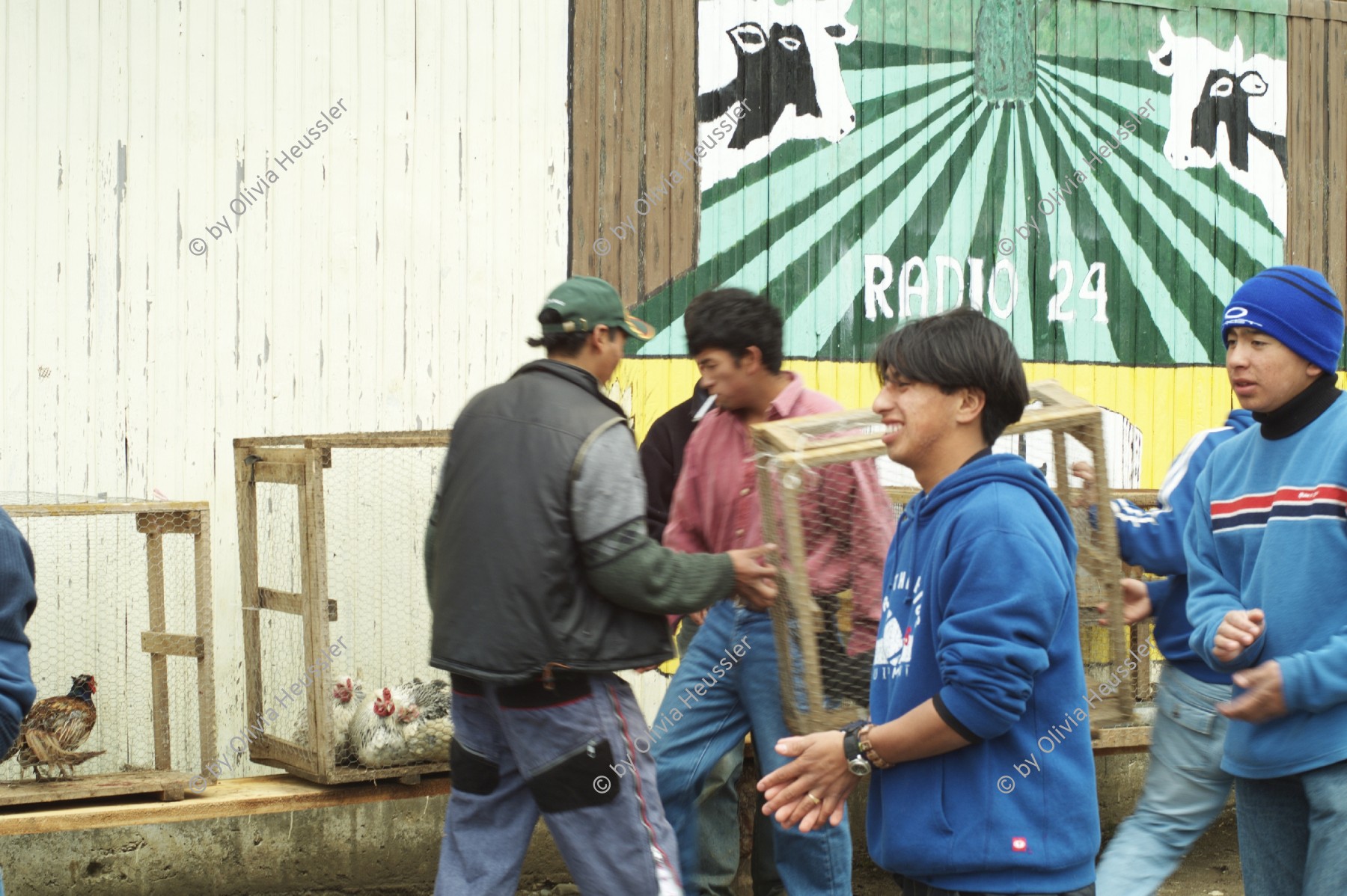 Image of sheet 20051204 photo 49: Liceo Agricola El Llolly Paillaco Chile 2005 Escuela Jugendliche Mapuche in der Schule Agricultural School Liceo Agrícola El Llolly, Weiler El Llolly in Paillaco, rund 100 km landeinwärts vom Pazifik und der Stadt Valdivia in der Region Los Rios, Südchile, gelegen. Internatschule für Landwirtschaft