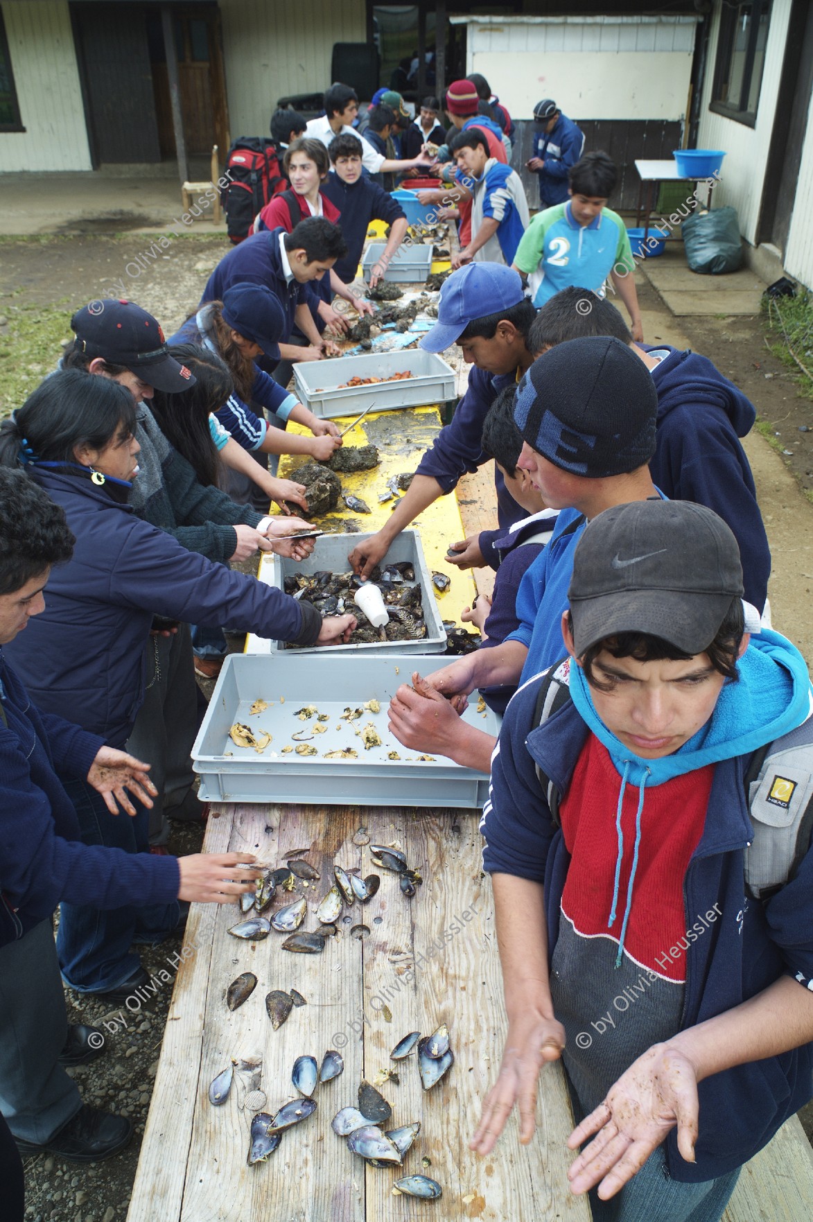 Image of sheet 20051205 photo 14: Chile 2005 Escuela Schule Agricultural School Schüler Studenten Estudiantes Bildung Landwirtschaft Jugendliche Männer junge Arbeiter Freizeit
Liceo Agrícola El Llolly Weiler El Llolly in Paillaco, rund 100 km landeinwärts vom Pazifik und der Stadt Valdivia in der Region Los Rios, Südchile, gelegen. Die Internatschule mit Landwirtschaftsbetrieb (53 Ha) bietet seit 1990 rund 200 Jugendlichen aus armen und schwierigen Verhältnissen kostenlos eine Berufsausbildung in Landwirtschaft, Gastronomie oder Automechanik an. Sie wurde von Exilchilenen in der Schweiz ins Leben gerufen, auf Initiative von Humberto Cardenas Gomez (1939-2012), Mitbegründer des Komitee zur Verteidigung der chilenischen Kultur, Zürich.