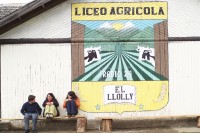 Image of sheet 20051205 photo 20: Chile 2005 Escuela Schule Agricultural School Schüler Studenten Estudiantes Bildung Landwirtschaft Jugendliche Männer junge Arbeiter Freizeit Studentin
Liceo Agrícola El Llolly Weiler El Llolly in Paillaco, rund 100 km landeinwärts vom Pazifik und der Stadt Valdivia in der Region Los Rios, Südchile, gelegen. Die Internatschule mit Landwirtschaftsbetrieb (53 Ha) bietet seit 1990 rund 200 Jugendlichen aus armen und schwierigen Verhältnissen kostenlos eine Berufsausbildung in Landwirtschaft, Gastronomie oder Automechanik an. Sie wurde von Exilchilenen in der Schweiz ins Leben gerufen, auf Initiative von Humberto Cardenas Gomez (1939-2012), Mitbegründer des Komitee zur Verteidigung der chilenischen Kultur, Zürich.