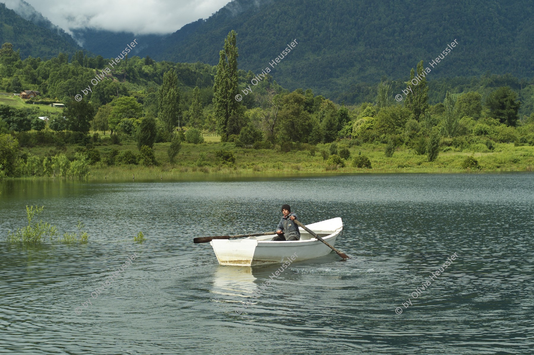 Image of sheet 20051205 photo 54: Wasser See Water lake Landschaft Paisaje
fischer Arbeit Mann Man work fish boot Ruderboot 
Paillaco, rund 100 km landeinwärts vom Pazifik und der Stadt Valdivia in der Region Los Rios, Südchile Chile