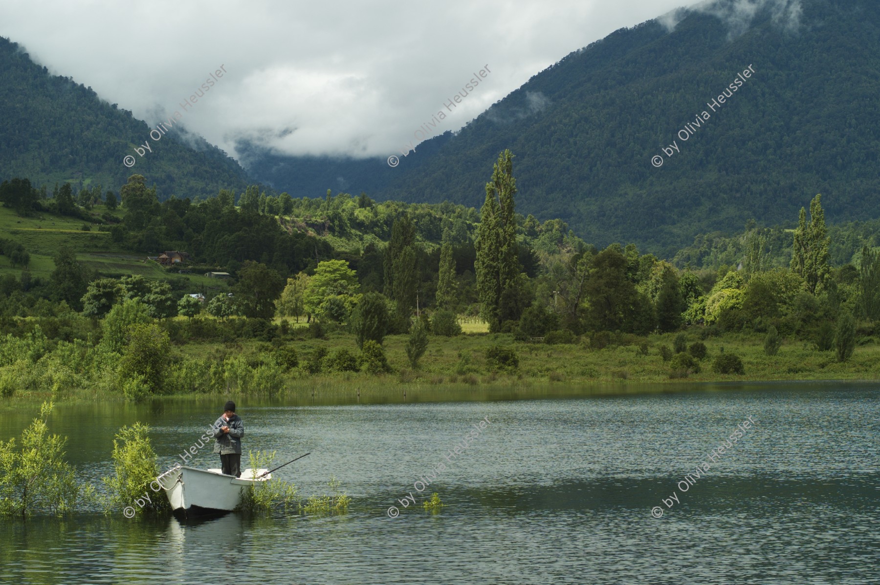 Image of sheet 20051205 photo 59: Wasser See Water lake Landschaft Paisaje
fischer Arbeit Mann Man work fish
Paillaco, rund 100 km landeinwärts vom Pazifik und der Stadt Valdivia in der Region Los Rios, Südchile Chile