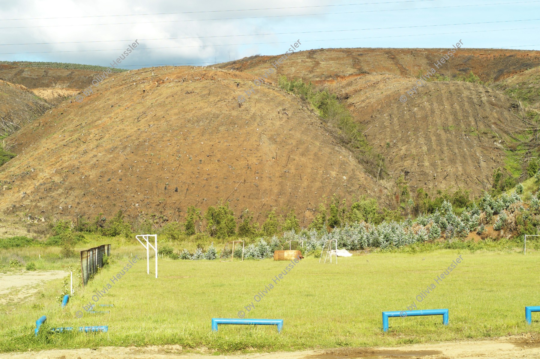 Image of sheet 20051205 photo 62: Fussballfeld. 
Die Huegel zwischen Valdivia und Futrono sind von Kiefern- und Eukalyptusbaeumen bewachsen, Chile, 2005. Die hier in Monokultur angebauten Nutzpflanzen fuehren zu einer problematischen Uebersaeuerung des Bodens. Plantagen Bäume