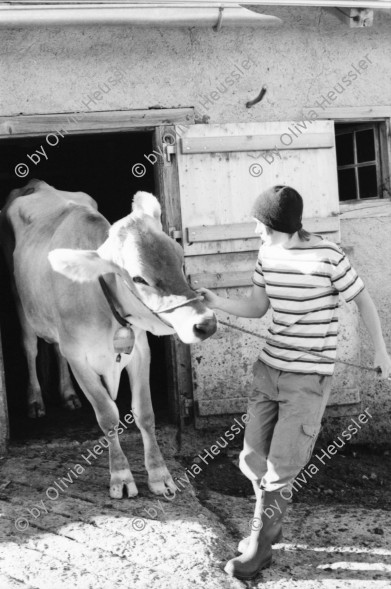 Image of sheet 20060020 photo 18: Leben auf der Alp mit Rind und Kalb, Neaza Graubünden, 2006.
Hirt mit krankem Rind. Hufe werden kontrolliert.