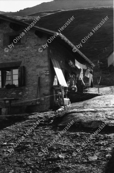 Image of sheet 20060020 photo 19: Leben auf der Alp mit Rind und Kalb, Neaza Graubünden, 2006.
Hirt mit krankem Rind. Hufe werden kontrolliert.