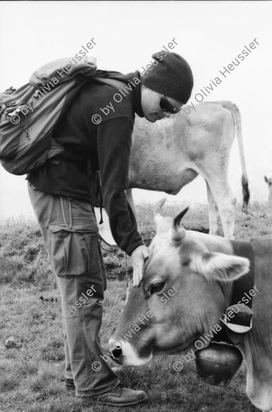 Image of sheet 20060020 photo 7: Leben auf der Alp mit Rind und Kalb, Neaza Graubünden, 2006.
Hirt mit krankem Rind. Hufe werden kontrolliert.