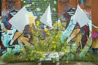 Image of sheet 20060817 photo 715: Rote Fabrik Zürich, Schweiz 2006
Aus der Serie: Zürich kapituliert. Kunstaktion von Enrico Centonze. Aktion weisse Fahnen Frieden Peace Badewannen Graffitis plants bathtop sunflowers plants Sonnenblumen