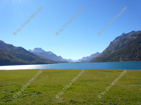 Image of sheet 20071012 photo 11: Bildungs-und Ferienzentrum Salecina, Orden Dent, Maloja Graubünden 2007.