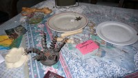Image of sheet 20100818 photo 9: Vita Interiore, Haus mit Inhalt, Mosogno 2010.
