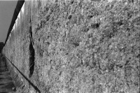 Image of sheet 20110040 photo 5: B