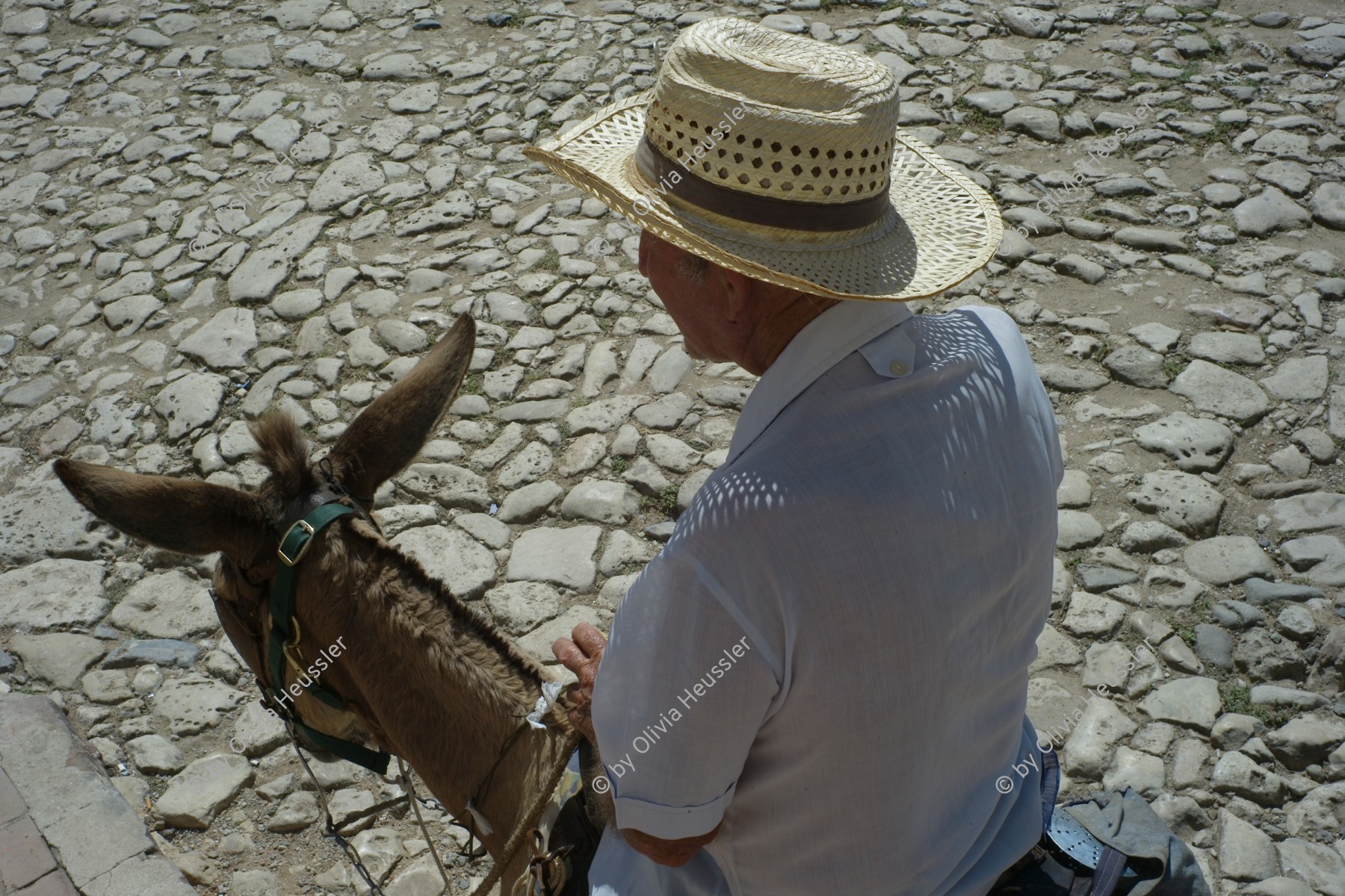 Image of sheet 20140215 photo 11: Ein Mann mit einem Sonnenhut reitet auf einem Maulesel über das Kopfsteinpflaster über den Haupt Platz in Trinidad Kuba 2014