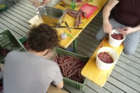 Image of sheet 20190614 photo 665: Männer kochen für die Frauen. 
Frauenstreiktag 2019 Zürich
Women strike Solidarity