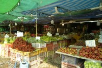 Image of sheet 20240123 photo 8: Thailand.