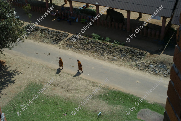 Image of sheet 20240126 photo 28: Elephant Study Center-Village, Ban TaKlang, Kripo Sub-District, Surin Province Thailand 2024.