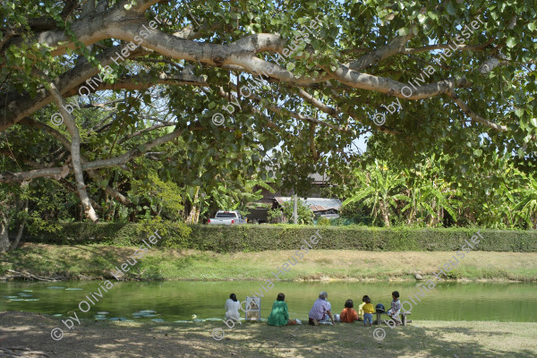 Image of sheet 20240128 photo 28: Prasat Sikhoraphum, Ruinen eines Khmer-Tempels, Surin Provinz, Isaan Thailand 2024.