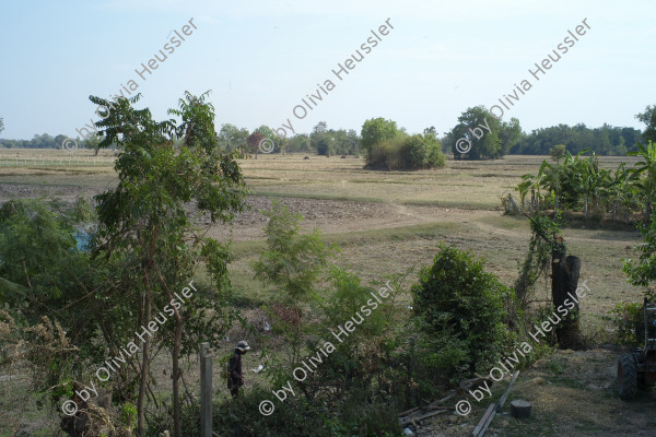 Image of sheet 20240128 photo 43: Prasat Sikhoraphum, Ruinen eines Khmer-Tempels, Surin Provinz, Isaan Thailand 2024.