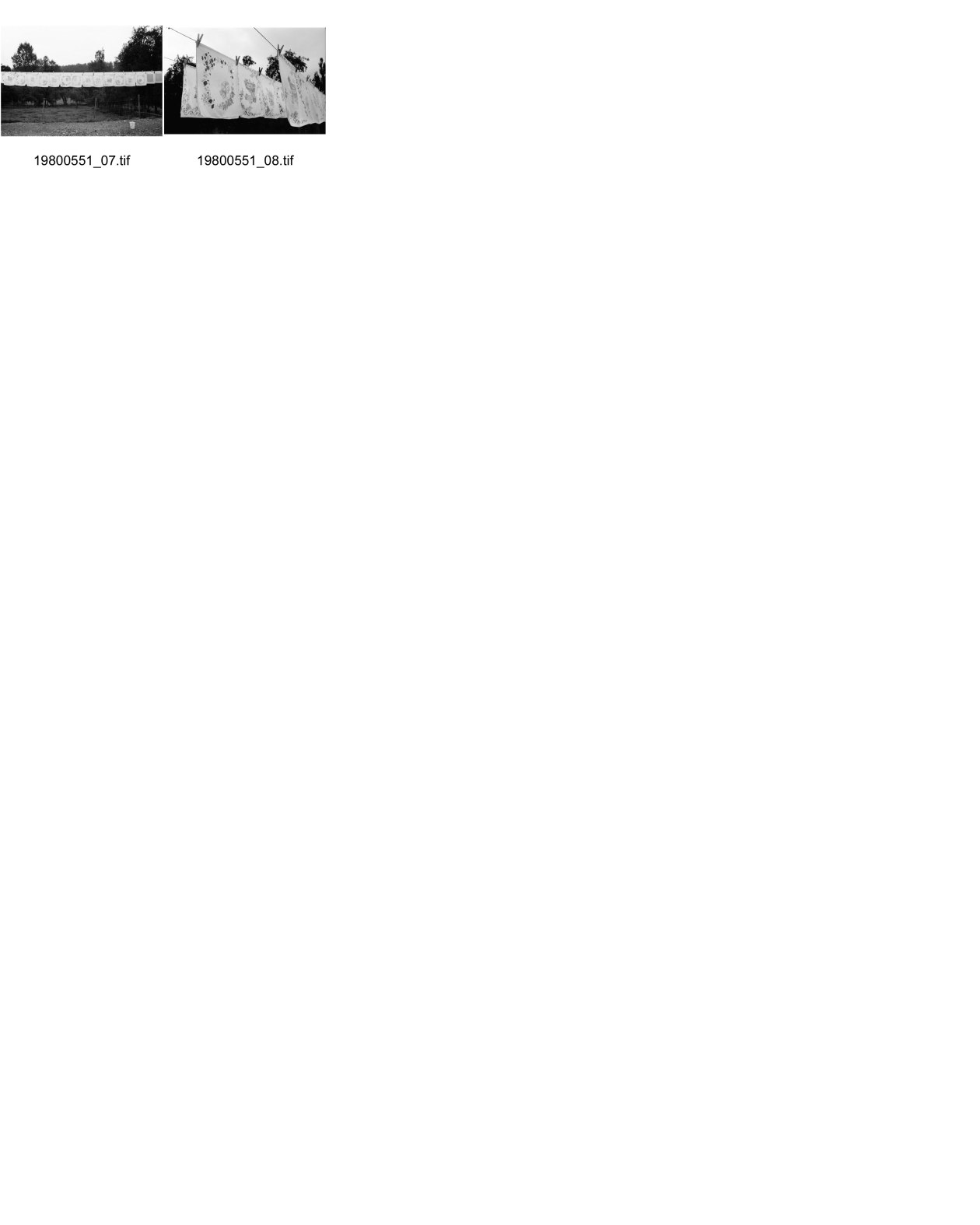 Image of sheet 19800551: unbekannt