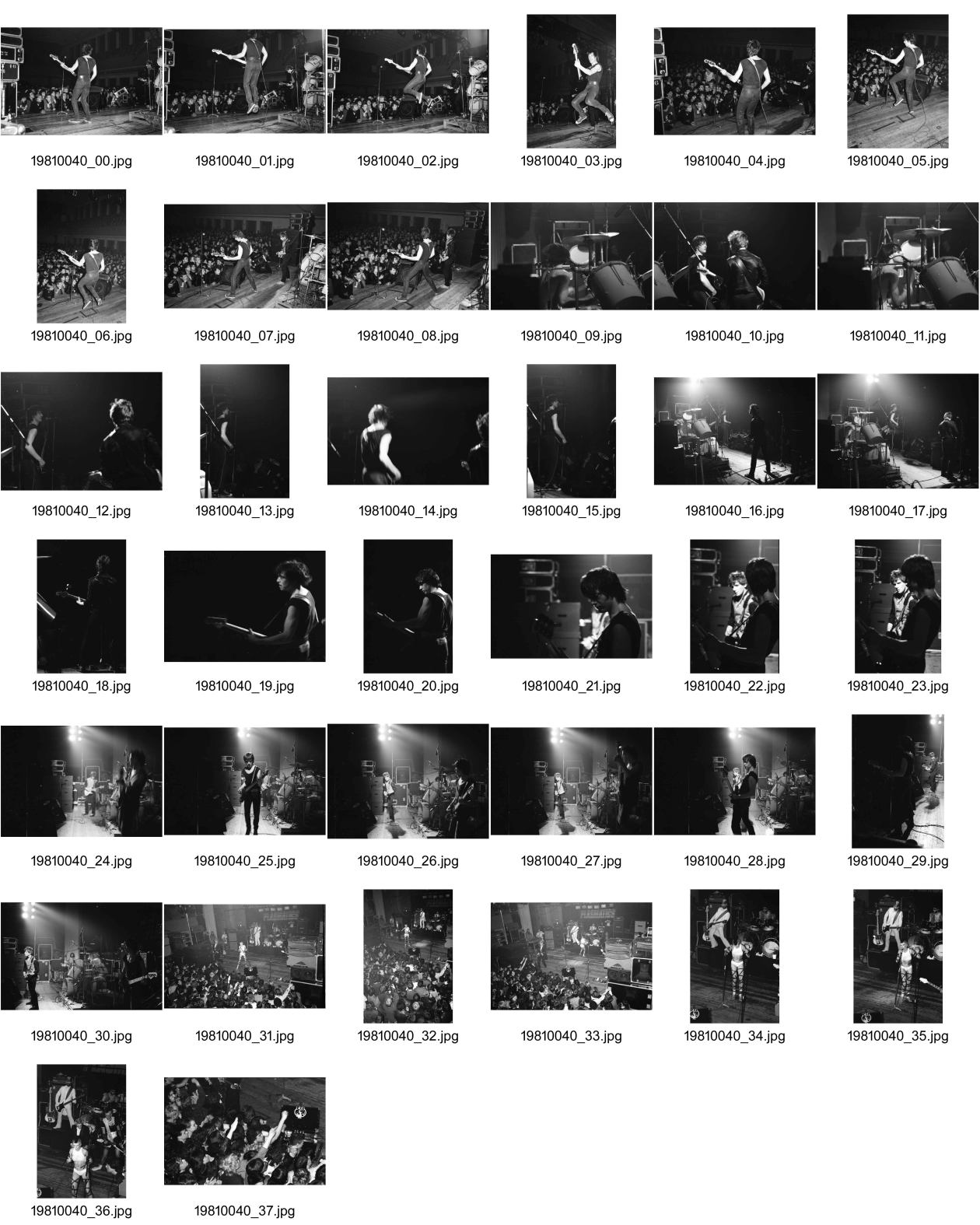 Image of sheet 19810040: frtsg. 810030 The Bucks Rams für LP. Plasmatics USA