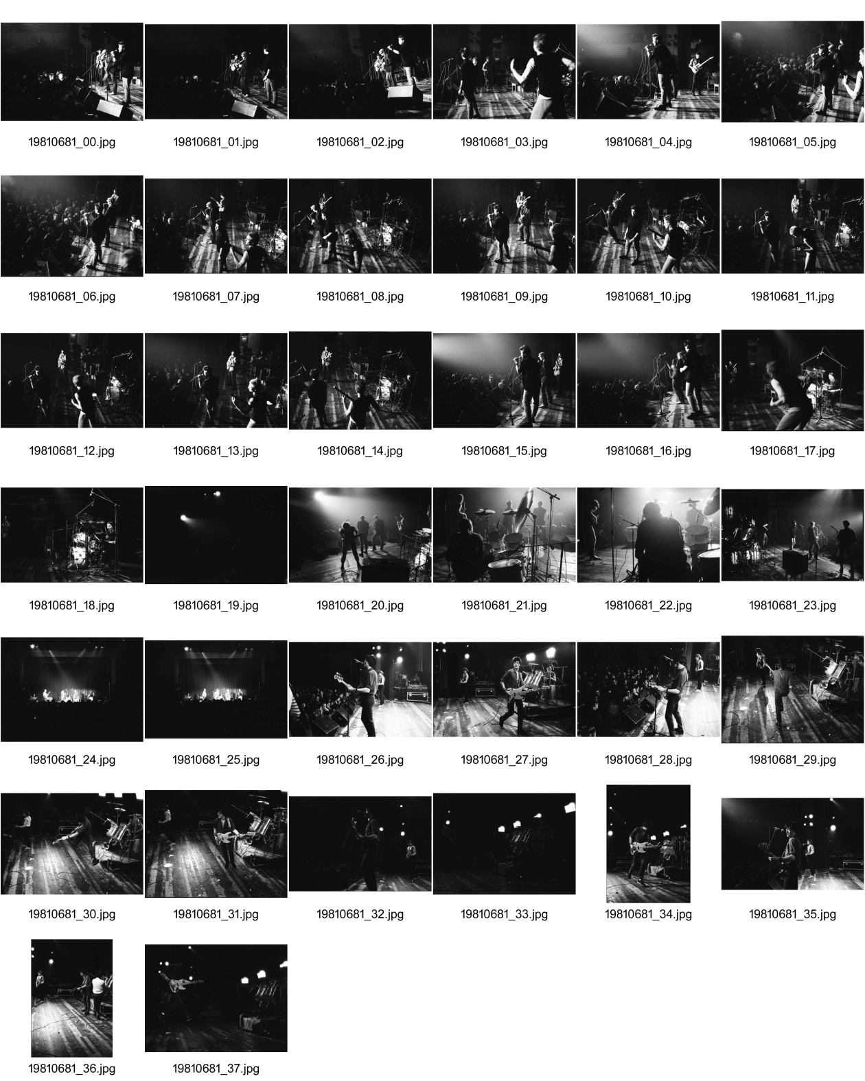 Image of sheet 19810681: Platza und Rams an Konzert mit Bucks im Volkshaus, Zürich 1981.