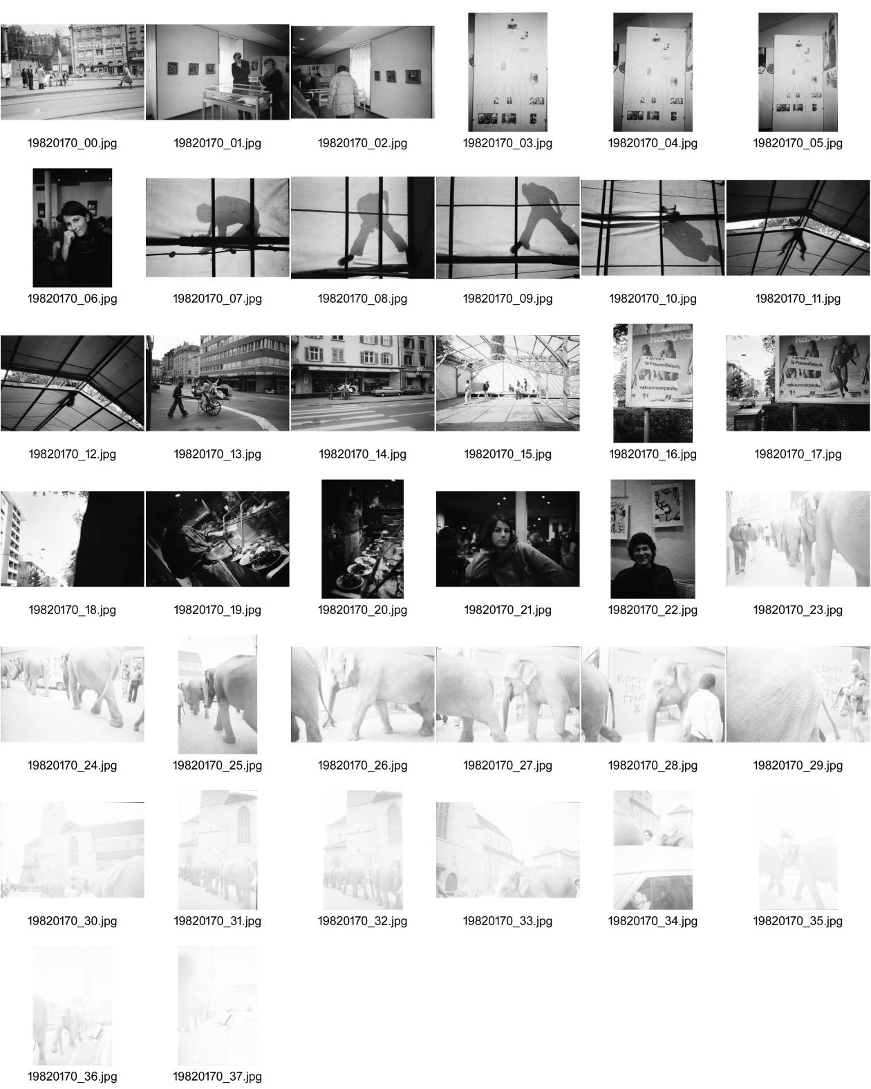 Image of sheet 19820170: Ausstellung über jüdische Kunst in der Schweiz im Zürcher Helmhaus. Stammbaum. Alis Guggenheim Bilder. Ruth Guggenheim Heussler. Portrait Olivia. Schatten eines Mannes auf dem Theater Zelt von Luft und Lärm, L+L auf Kanzleiareal, Leute. Mann zügelt mit Handwagen. «Aktion 1 a Frauenfleisch» und 'vakuumverpackt', steht auf einem Frauenfeindlichen Plakat, an der Weststrasse. Portrait Olivia und Christoph Schuler im Restaurant Tübli. Elefanten vom Zirkus Knie werden für Propaganda zwecke durch die Stadt geführt. An der Wand an der Storchengasse steht: «Gegen die Trakte» Zürich Graffitti Wandmalerei Mural Zürich 1982