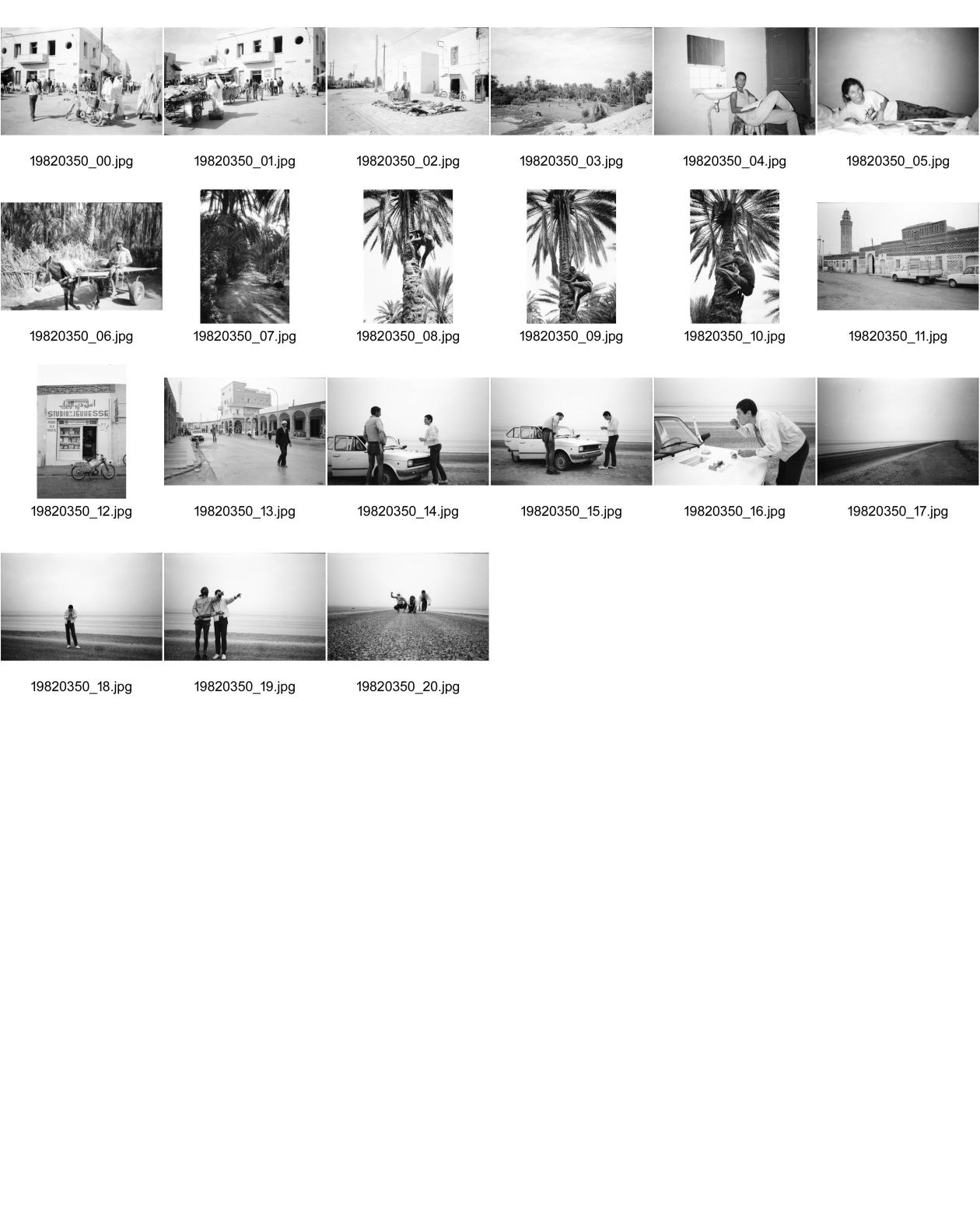 Image of sheet 19820350: Ferien mit Christoph Schuler in Tunesien. Tozeur, Reini. Olivia Heussler. Reini klettert auf Palme. Ansicht Strasse Ortschaft. Moschee. vermummte Frauen in der Strasse. Studio de la Jeunesse. Damm durch Salzsee. Chott el Jerid. Wir drei haben uns vermummt für das Bild. Faust. Tunisie Tunisia 1982 Afrique nord Africa Tozeur