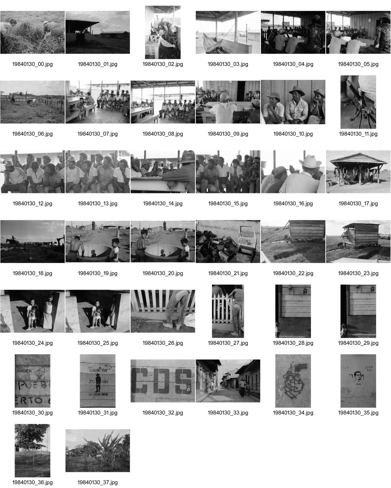 Image of sheet 19840130: Schweizer Brigadisten und Brigadistinnen im Zacate ausreissen in der Cooperative
und Landwirtschaftsgenossenschaft La Loma. Campesino sitzungen mit den Bauern. Gewerkschaftssitzungen der ATC Asociacion de Trabajadores del Campo. Machete  Junge reitet auf Pferd um Wasser aus dem Ziehbrunnen zu holen. Hütte und Schwein. Kinder Cowboyhosen Graffitti Wandmalerei Che Guevara. und Kind. Sandino Mural. CDS Mural. Carlos Fonseca Mural Friedhof. Nicaragua Rio San Juan 1984
