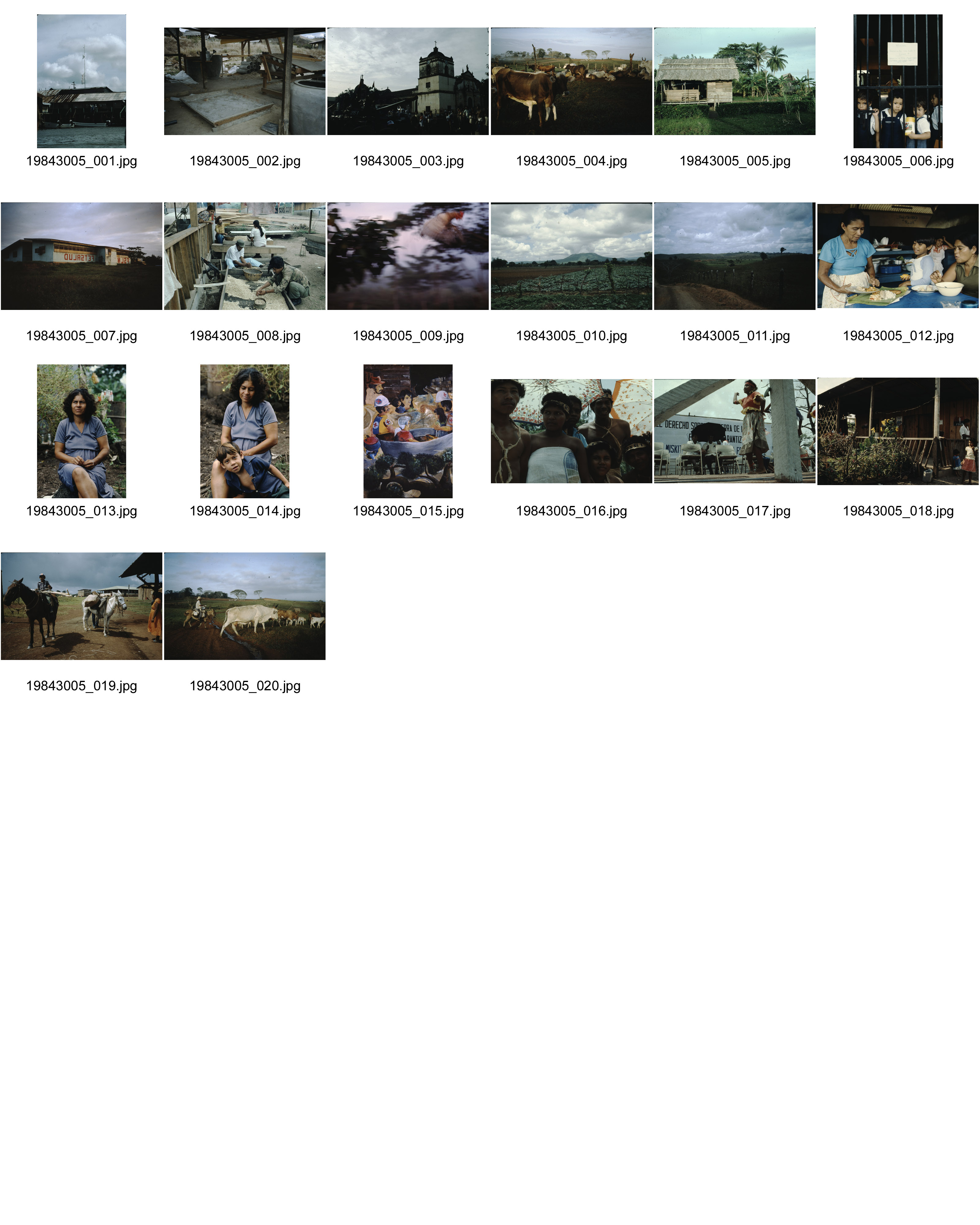 Image of sheet 19843005: Nicaragua 1994.
