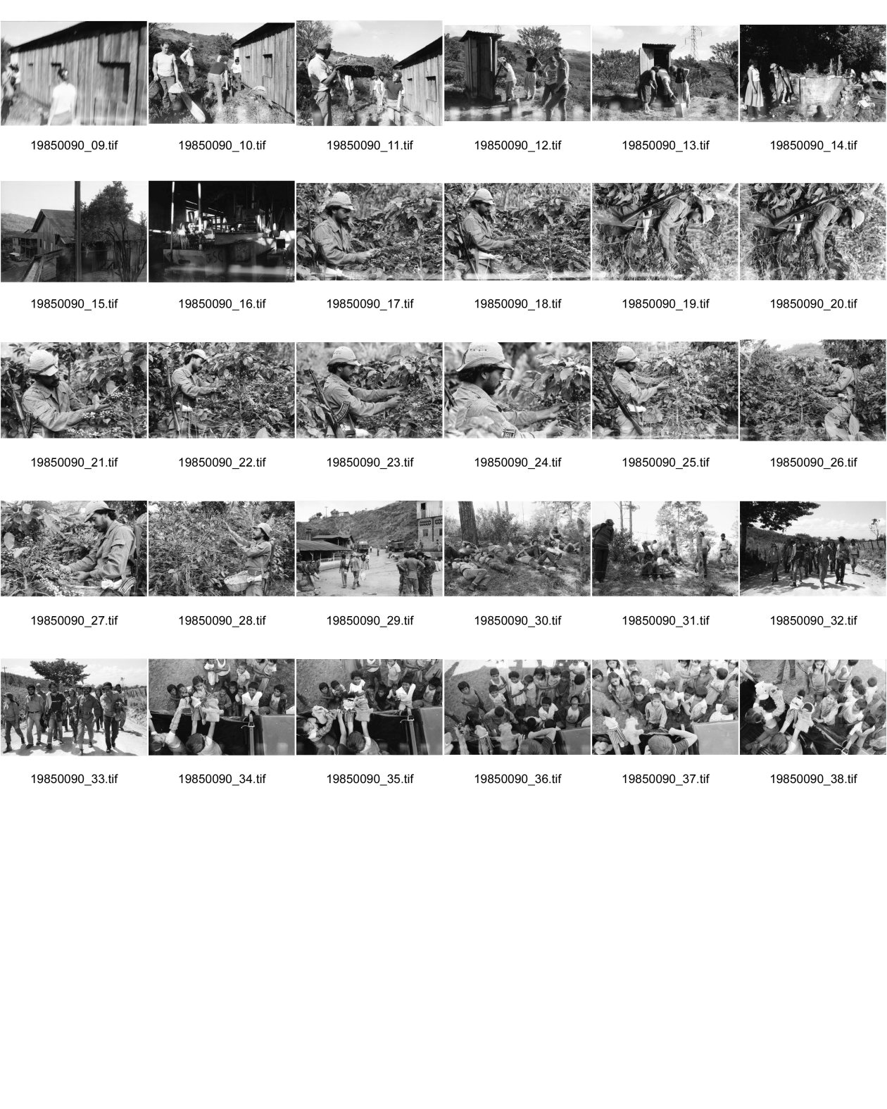 Image of sheet 19850090: Unter den InternationalistInnen sind u.a. viele US Amerikaner Nordamerikaner Innen dabei. Sie kommen vom INIES und helfen beim jährlichen Kaffeepflücken mit. Viele sind noch Studentinnen. Ein Schneider aus der Hauptstadt bewaffnet mit einer AK-47 und Soldat pflückt. Auf dem Innenhof der Hacienda. IRENA Leute beim Picknick. Lorenzo Cardenal (selig). Ein Kindertheater wurde installiert. Puppentheater für die Pflückerkinder. Brigade Kaffee Ernte Nicaragua 1985