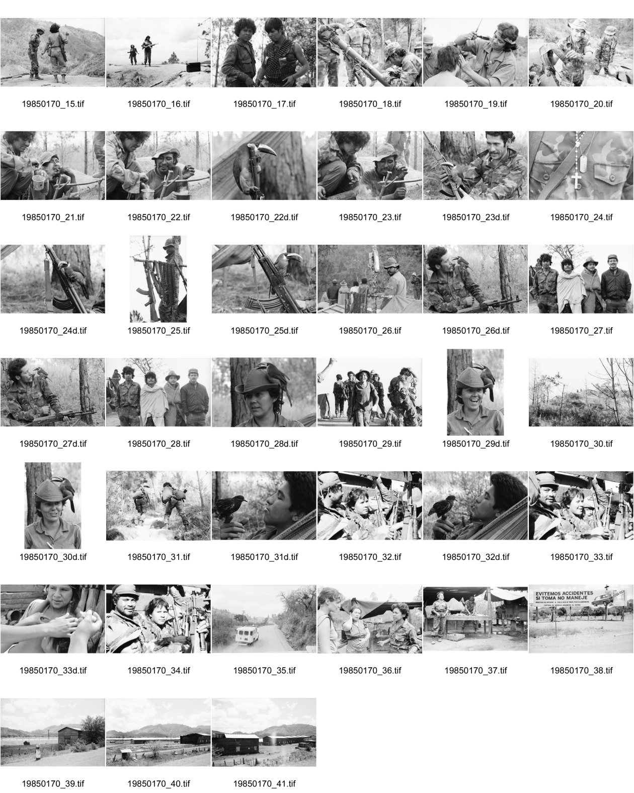 Image of sheet 19850170: Tabak häuser bei Esteli. Gabrielle Baur mit Zwei Soldatinnen des Veronica Lacayo. Soldatin inmitten Soldaten auf der Fahrt zur Front. Aufstieg auf de Cerro. Soldaten am Morgen in Wolldecken gehüllt. Das Kreuz auf dem Militärhemd Gewehre aufgestellt und Soldat. Soldat und Soldatin beim Kaffeekränzchen an der im Basislager. Soldat zeigt mir seine Handgranaten. Neuer Haarschnitt für einen Soldaten an der Front. Mörser. Zwei Soldatinnen vom Frauenbataillon Veronica Lacayo tanzen neben einem kubanischem Transistorradio an der Grenzlinie zu Honduras. Nach einem ein wöchigen Kampf wurde der Cerro 1300 von den Sandinisten befreit und 30 Soldaten fielen zum Opfer. Der Tukan auf der Akka AK-47 Kalaschnikov war ein Glücksbringer für die Soldaten ist aber auf der langen Reise im Lastwagen verdurstet. Las Segovias Nicaragua 1985

The Sandinista Popular Army (or People's Army; Ejército Popular Sandinista, EPS) was the military established in 1979 by the new Sandinista government to replace the National Guard, following the overthow of Anastasio Somoza Debayle. In post-Sandinista Nicaragua, it has been remolded into the National Army of Nicaragua. Joaquín Cuadra was chief of staff, serving Defense Minister Humberto Ortega. A draft, called the Patriotic Military Service (Servicio Militar Patriótico), (SMP) was instituted in 1983. It later became Obligatory Military Service (Servicio Militar Obligatorio) (SMO).The special forces Tropas Pablo Ubeda initially came under the Ministry of Interior and then the BLI'S were Created.