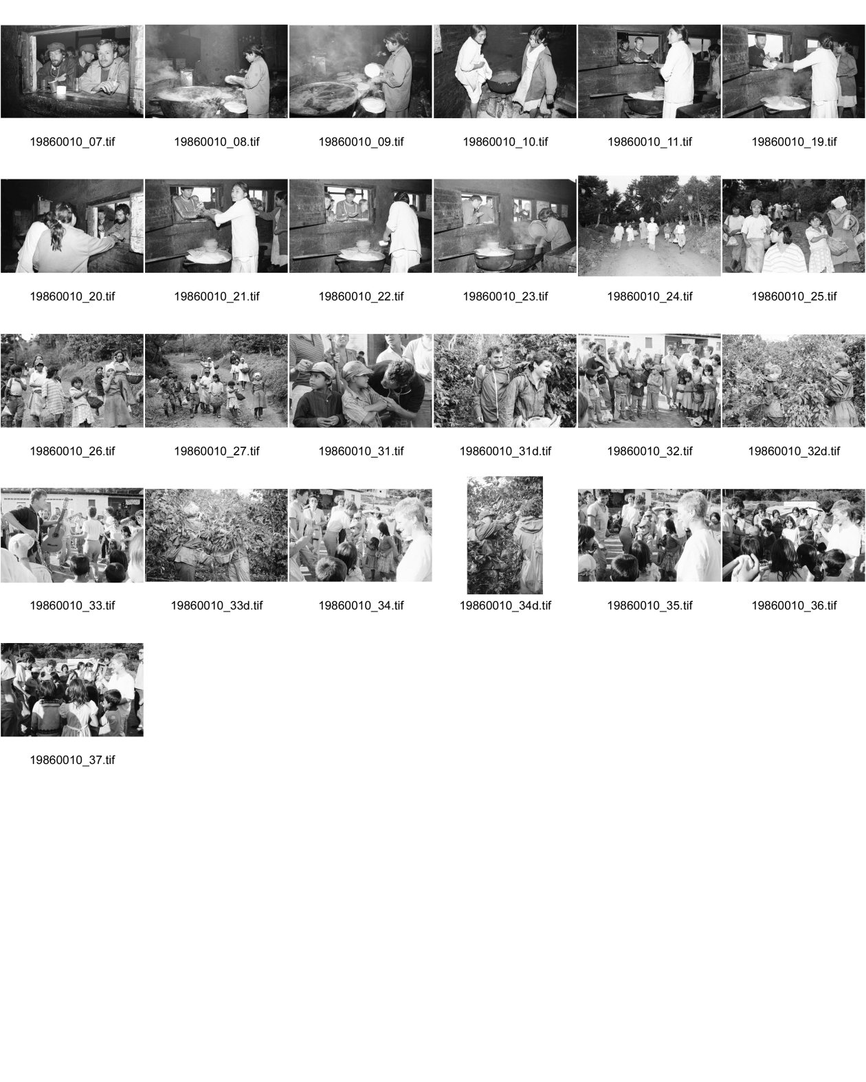 Image of sheet 19860010: für den britischen «The Observer» mit dem englischen britischen Musikjournalisten Ian Walker. Britische Kaffeebrigaden solidarisieren sich mit den Nicaraguanischen Kaffeepflückern Labor Party Mitglieder.  Gruppe zusammen mit Kindern spielen sie Musik und singen. (Tagi) Kindergruppe auf dem Weg zum Pflücken. In der Küche werden Tortillas und Kaffee zubereitet. Ian (gest.) steht am Fenster. Benny Mc Cabe kriegt auch eine Tortilla. Aeltere und Jüngere zusammen in den Kaffeestauden. (The Observer) Reste des Films von DHL verloren. Nicaragua 1986