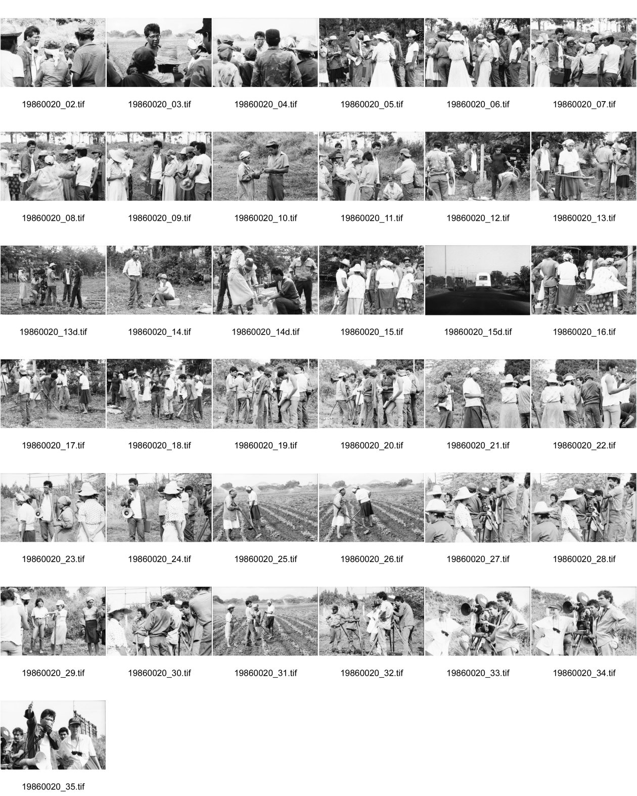 Image of sheet 19860020: Film: Mujeres de la Frontera. Direktor Yvan Arguello Lacayo von INCINE. Kamera Rafael Ruiz mein alter Freund. Haupt darstellerin Pauline von Jalapa. Frauen arbeiten mit langen Instrumenten auf dem Feld. Yvan gibt den Schauspieler Innen (Laien) anweisungen. Er schaut durch die Kamera und Rafael steht daneben. Film cinema work art Nicaragua 1986  school Managua