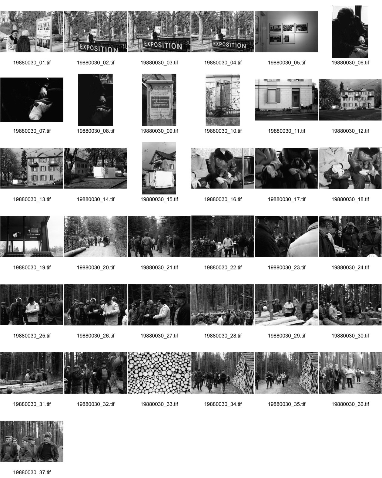 Image of sheet 19880030: Mein Plakat im Photoforum hängt draussen und wird betrachtet. Exposition steht am Geländer zur Galerie. Anti komunistisches Plakat in Zürich. Drop In Zürich Hottingen. Wäsche am Hottinger Platz. Hund von Frau in Bus. Percy, mein Vater an Holzgant in Fällandener Fällanden Wald. Mit Bürger von dort. Holzbeige. Die Männer sprechen über Preise und Qualität. 1988 Zürich holz wood